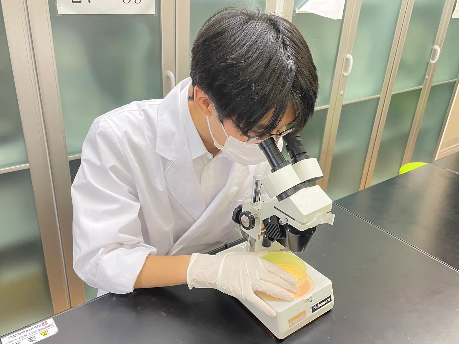 顕微鏡で観察している兼平さん