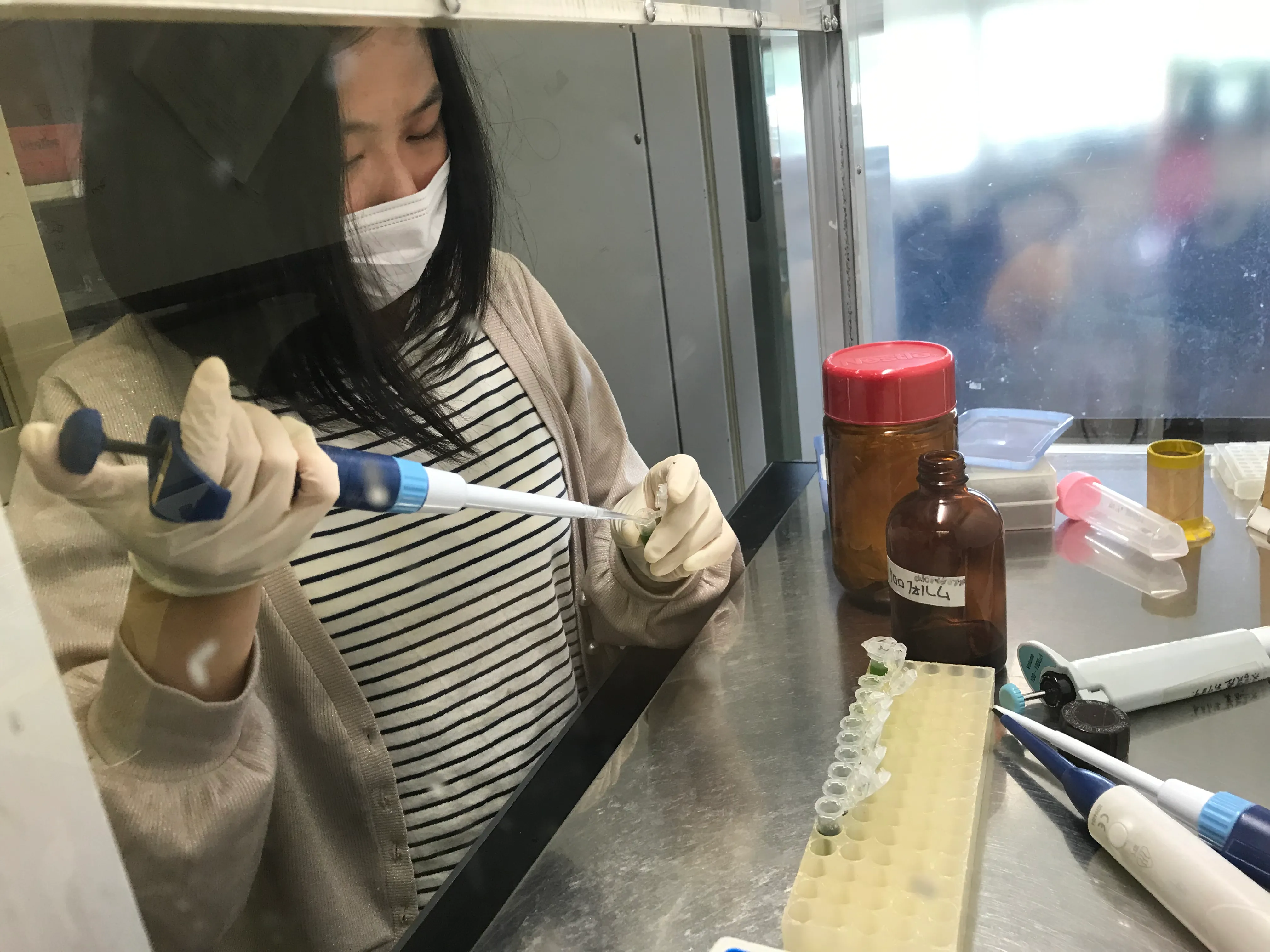 実験中の横川さん