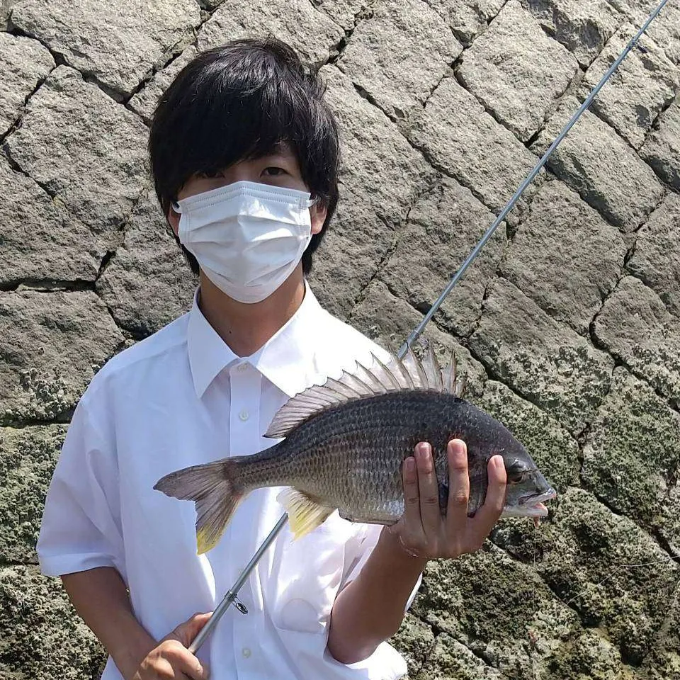 採集中の吉郷さん