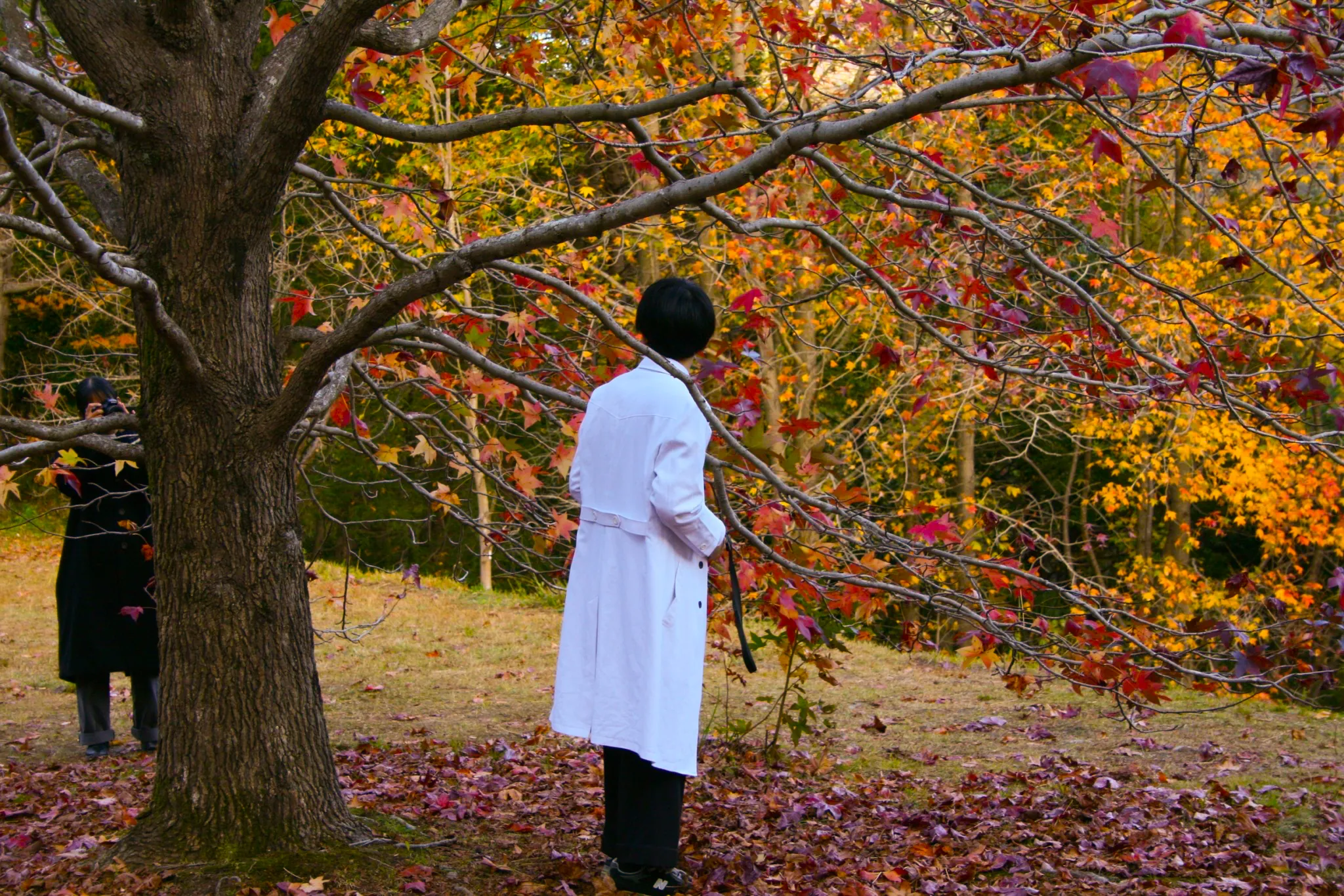 紅葉の中の神吉さん