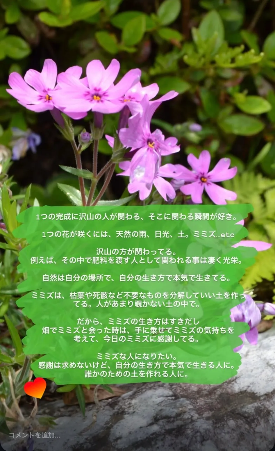 1つの完成に沢山の人が関わる、そこに関わる瞬間が好き。1つの花が咲くには、天然の雨、日光、土。ミミズ…etc沢山の方が関わってる。例えば、その中で肥料を渡す人として関われる事は凄く光栄。自然は自分の場所で、自分の生き方で本気で生きてる。ミミズは、枯葉や死骸など不要なものを分解していい土を作ってる。人があまり覗かない土の中で。だから、ミミズの生き方はすきだし畑でミミズと会った時は、手に乗せてミミズの気持ちを考えて、今日のミミズに感謝してる。ミミズな人になりたい。感謝は求めないけど、自分の生き方で本気で生きる人に。誰かのための土を作れる人に。