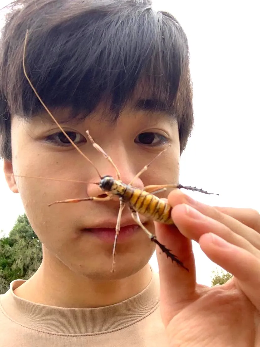 アイコン