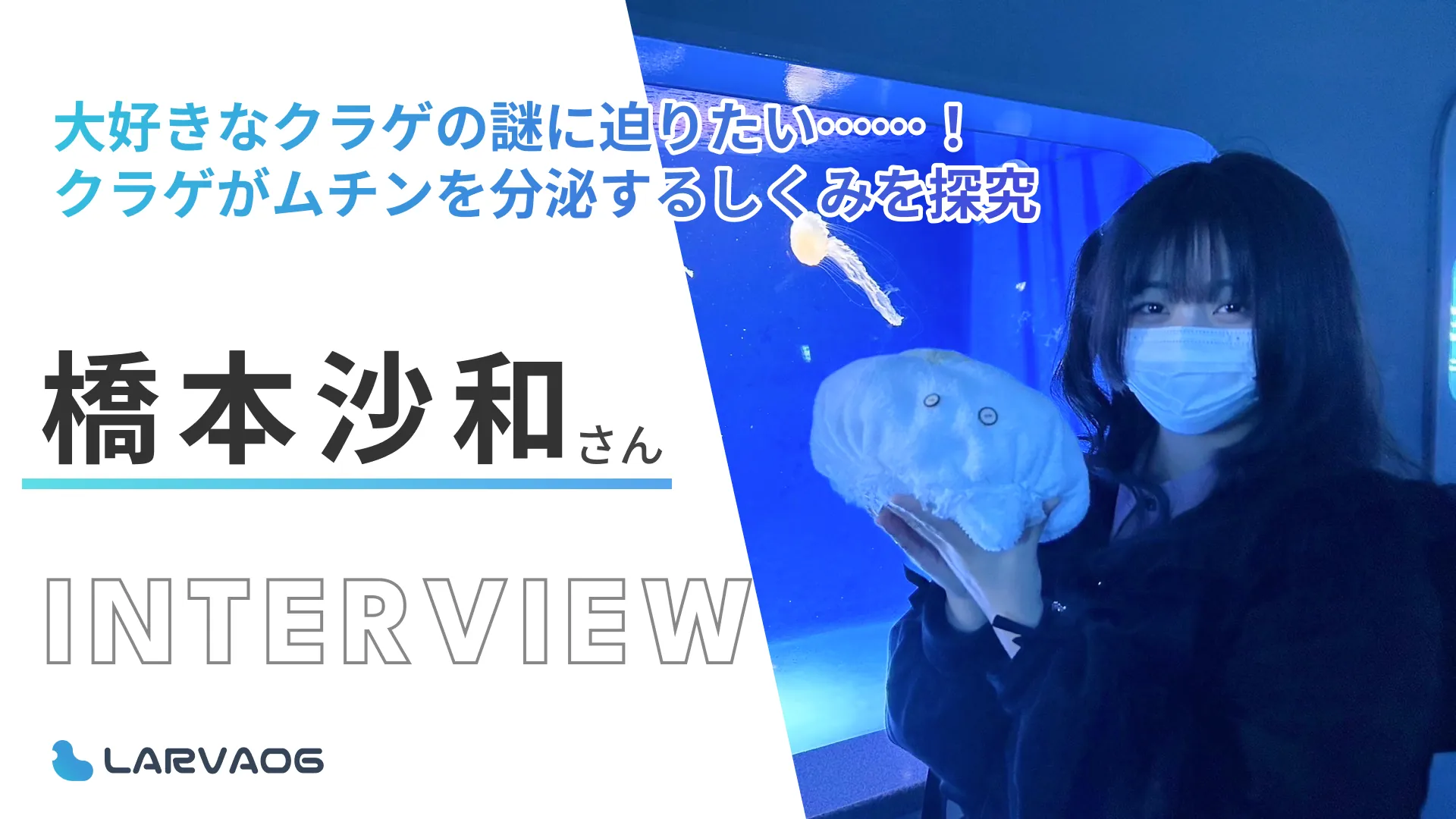 大好きなクラゲがムチンを分泌するしくみを解明したい……！橋本沙和さん研究インタビュー