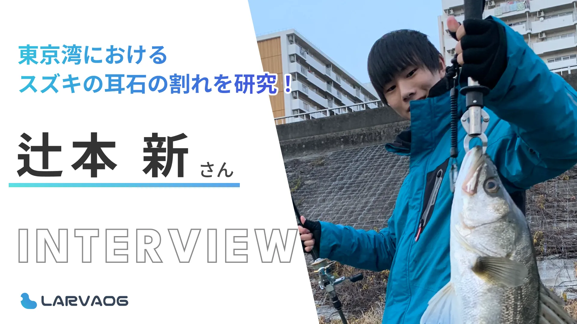 スズキの耳石における割れを研究！辻本新さん　研究インタビュー